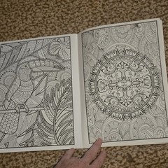 Mandalas Adult Coloring Book Paperback Illustrated Adults English
