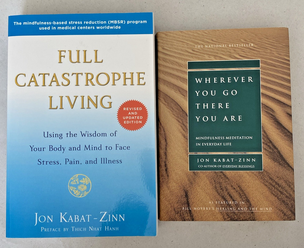 Jon Kabat-Zinn Mindfulness Lot 2x Full Catastrophe Living Hermann Hesse Jamison