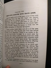 Living to Tell of LIFE BEYOND DEATH. Lura Grubb. 1947 (Angels/Afterlife) PB