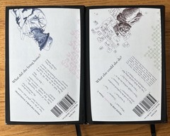FAMILIAR Volume 1 and 2 by Mark Z. Danielewski 2015 Trade Paperback