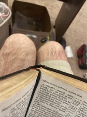 Holy Bible Cambridge French Morocco leather #24XC