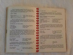 Cook Book Compiled By Council 106 Polish National Alliance 1968-1976 Spiral Bind