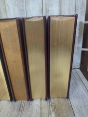 8 Longmeadow Press Bonded Leather Books – all the classics in great condition