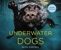 Underwater Dogs – Hardcover By Casteel, Seth – VERY GOOD