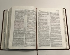 VTG NIV Study Bible Red Letter Zondervan 1985 Bonded Leather Meticulously Tabbed