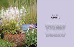 The Money-Saving Garden Year: A Month-by-month Guide to a Great Garden that Cost