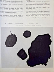 Morita Shiryū: Work And Thought Rare Art of Sho Catalog Kyoto Japan, 1964 vtg