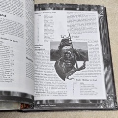 Midnight rpg: Epic Fantasy in an Age of Shadow d20 System Roleplaying Hardcover