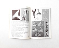 Fossil Sharks: a pictorial review by Gerard R. Case 1973 Signed 1st Printing