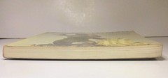The Wild Man Medieval Myth And Symbolism Timothy Husband PB 1980