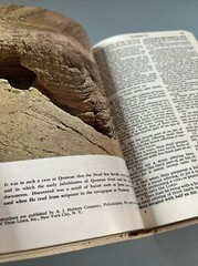 Holy Bible Study Edition The National Bible Press King James Creme Leather READ