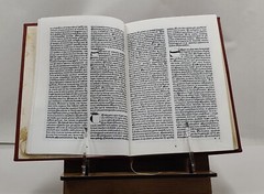 Malleus maleficarum 1486 [Premium Leather Bound]