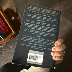 The Do Over by TL Swan Paperback Book