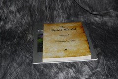 Lot of 2 Clarence Larkin The Spirit World (Paperback) Books Illustrated
