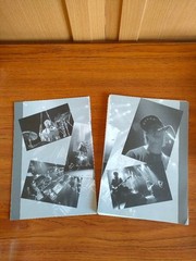 Ellegarden Pepperoni Quattro Band Score Tab Sheet Music with Photos and Tips