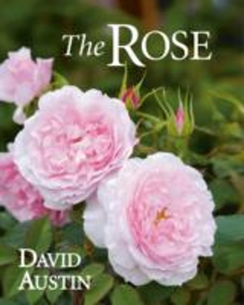 Rose The Hardcover D. Austin