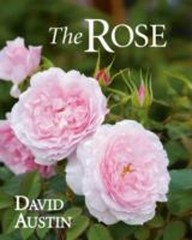 Rose The Hardcover D. Austin