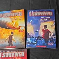 Scholastic I Survived Series Lot of 6 Paperback Books Lauren Tarshis