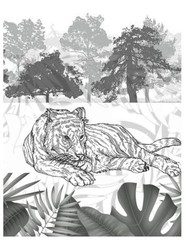 Coloring Book save the Tigers 108 Pages 8.5 x 11 for All Ages Best Tigers book