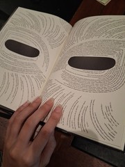 The Familiar Volume 2 Into The Forest Mark Z Danielewski Very Good