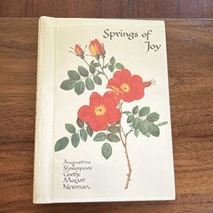 Vintage “Springs” Gift Book Lot (3) Joy Humor Friendship Decorative Hardcover
