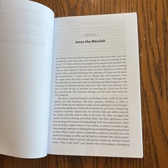 Beginning At Moses By Michael P. V. Barrett PB