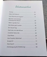 Ulrike Massmeyer – Plitsch & Platschi (Gebundene Ausgabe 2009) Topzustand