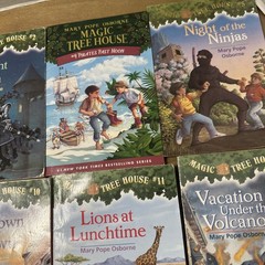 Lot of 12 Magic Treehouse Fact Tracker Non-Fiction Book Historical Fiction Books