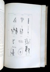 4th Annual Report of the Bureau of the American Ethnology 1882-83