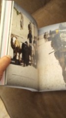 Ecologies of Power Paperback by Pierre Bélanger MIT Press Military Geographies