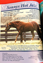 SALE ENDS 6/15! 2008 Quarter Horse Journal STALLION EDITION Book, PEPTOBOONSMAL