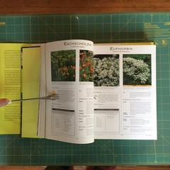 THE COMPLETE garden Flower Book 800 Pages 1000 + Pictures, Like New