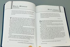 The Heart Of Worship My Daily Devotional (men) 2019 Thomas￼ Nelson Blue Leather