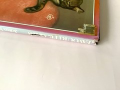 Cat Illustration Book Favourite Cats Cats in Art 9.3×11.3in Art Collection
