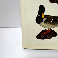 VTG GAME BIRD CARVING HB Book by Bruce Burk (1972) with Dust Jacket