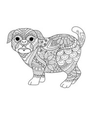 Dogs and Cats Coloring Book for All Ages 108 Pages 8.5 x 11 for All Ages
