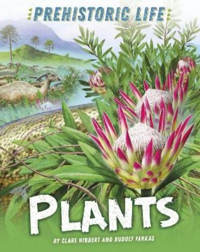 Clare Hibbert Prehistoric Life: Plants (Paperback) Prehistoric Life (UK IMPORT)