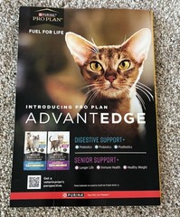 🟥 March 2026 National Geographic magazine Spider Silk, Vikings SPECIAL ISSUE