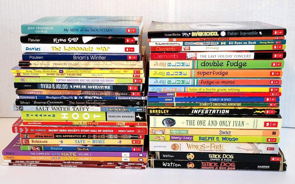 Boys 3rd/4th/5th/6th Grade Chapter Books Lot of 42 Homeschool PB Scholastic