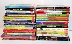 Boys 3rd/4th/5th/6th Grade Chapter Books Lot of 42 Homeschool PB Scholastic