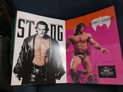 WWE: THE ULTIMATE POSTER COLLECTION (2015) Missing 1 Page (2 Posters)