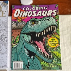 Adult Coloring Book Lot of 4: FANTASY ROMANCE SUMMER DINOSAURS MINDFUL NEW NOS