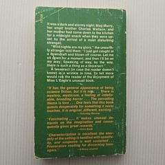 A Wrinkle in Time – Madeleine L’Engle PB 1984 Dell Laurel Leaf (Stranger Things)