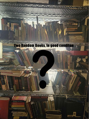 2 Random Book Lot, Mixed Genres, Mystery, Fiction, Novels, Sci-Fi, History