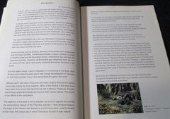 NEW TILLANDSIA HANDBOOK Shimizu-Takizawa 1998 Air Plants Japanese-English SCARCE