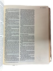 Nrsvue, Artisan Collection Bible, Leathersoft, Multi-Color/Cream, Comfort Print