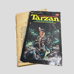 TARZAN Burroughs Ballantine Paperback Book Lot Of 11 1970s Vtg READ