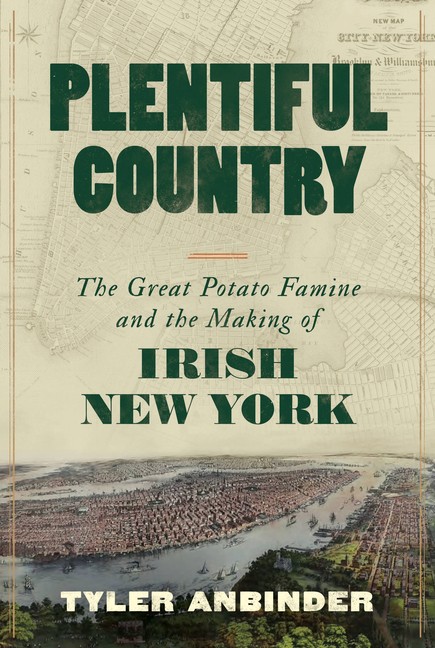 Plentiful Country: The Great Potato Famine And The Making Of Irish New York