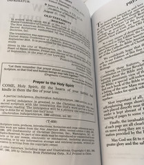St. Joseph Edition Of The New American Bible Revised 2011 Book Green