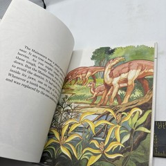 Dinosaur Hardcover Books 1991 Janet Riehecky The Child’s World Series 18 Books